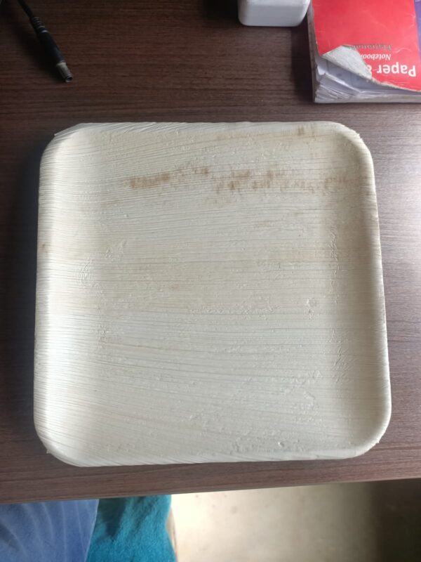Areca leaf plates-10