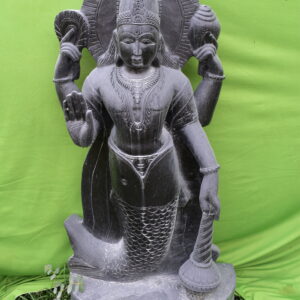 Matsya Avatar