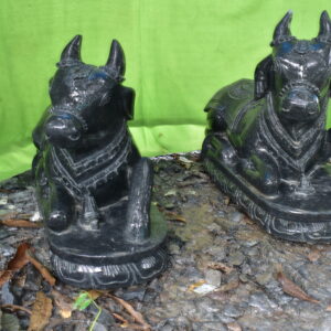 Nandi-Bull-in-sitting-position