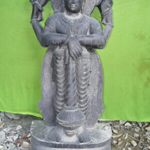 Narayan