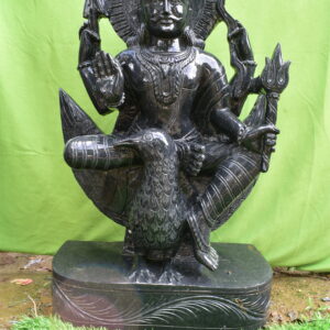 Shanidev