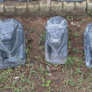 Small Nandi