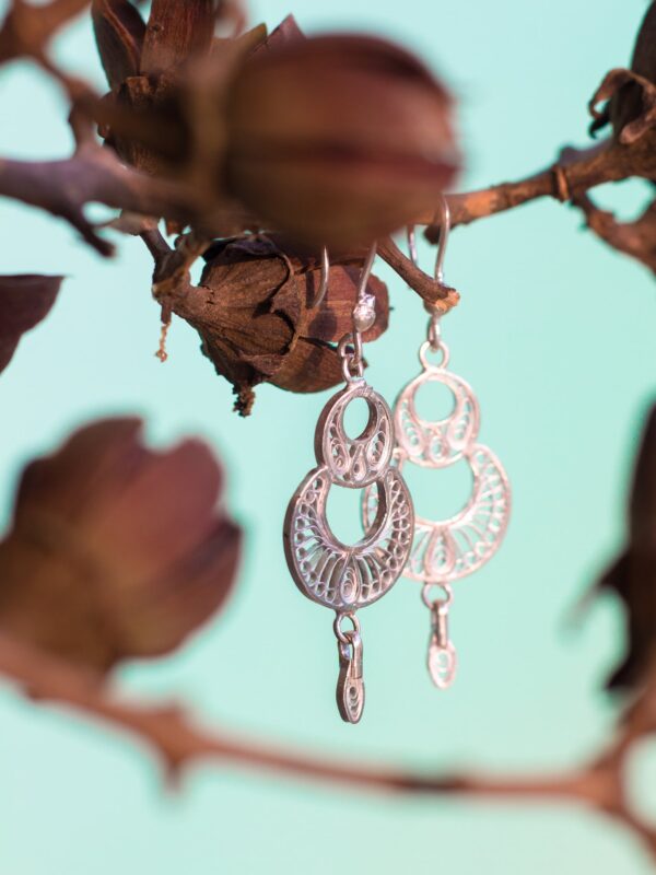 Elegant danglers - Image 2